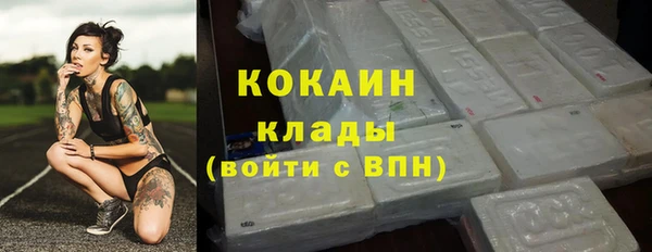индика Арсеньев