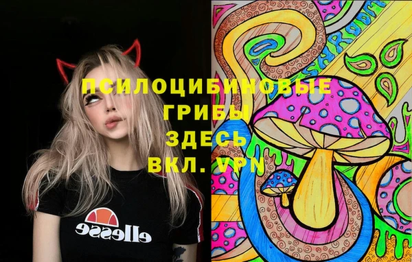 mix Алексин
