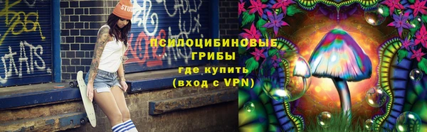 мяу мяу мука Алзамай
