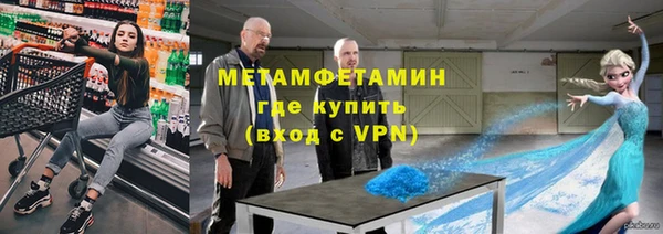индика Арсеньев